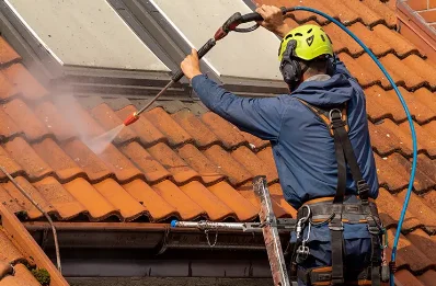 Démoussage et hydrofuge de toiture à Langley